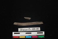 獸骨藏品圖，第1張