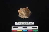 獸骨藏品圖，第1張