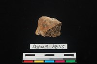 獸骨藏品圖，第2張