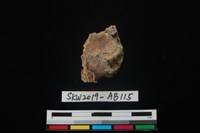 獸骨藏品圖，第4張