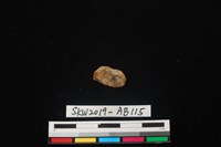 獸骨藏品圖，第6張