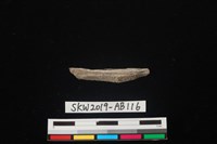 獸骨藏品圖，第2張