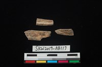 獸骨藏品圖，第2張