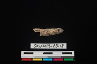 獸骨藏品圖，第2張