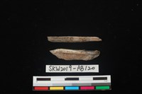 獸骨藏品圖，第2張