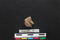 獸骨藏品圖，第2張