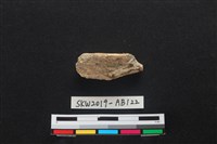 獸骨藏品圖，第2張