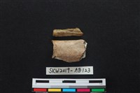 獸骨藏品圖，第1張