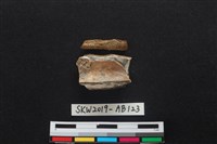 獸骨藏品圖，第2張