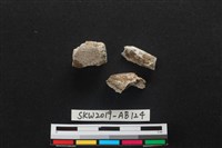 獸骨藏品圖，第1張