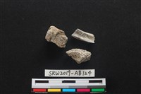 獸骨藏品圖，第2張