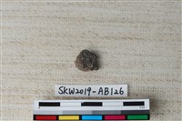 獸骨藏品圖，第1張