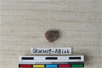 獸骨藏品圖，第2張