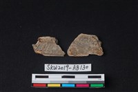 獸骨藏品圖，第2張