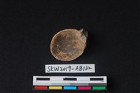 獸骨藏品圖，第1張