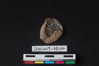 獸骨藏品圖，第2張