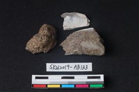 獸骨藏品圖，第2張