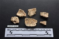 獸骨藏品圖，第2張