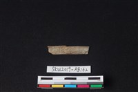 獸骨藏品圖，第2張