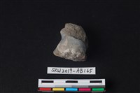 獸骨藏品圖，第2張