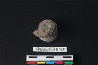 獸骨藏品圖，第3張