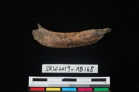 獸骨藏品圖，第1張