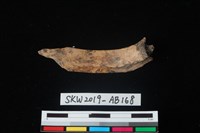 獸骨藏品圖，第2張