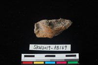 獸骨藏品圖，第1張