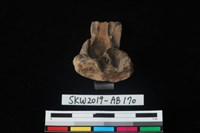 獸骨藏品圖，第3張