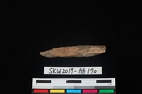 獸骨藏品圖，第4張