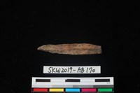 獸骨藏品圖，第5張