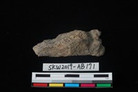 獸骨藏品圖，第2張