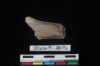 獸骨藏品圖，第1張