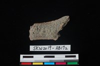 獸骨藏品圖，第2張