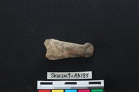 獸骨藏品圖，第1張