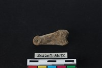 獸骨藏品圖，第2張