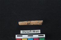 獸骨藏品圖，第1張