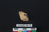 獸骨藏品圖，第1張