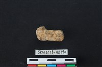 獸骨藏品圖，第1張