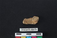 獸骨藏品圖，第2張