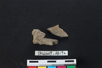 獸骨藏品圖，第2張