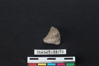 獸骨藏品圖，第2張