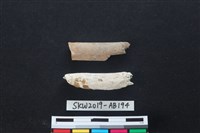 獸骨藏品圖，第1張