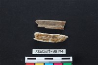 獸骨藏品圖，第2張