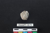 獸骨藏品圖，第1張