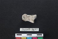 獸骨藏品圖，第1張