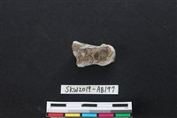 獸骨藏品圖，第2張