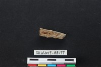 獸骨藏品圖，第1張