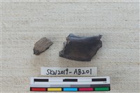 獸骨藏品圖，第2張