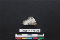 獸骨藏品圖，第2張